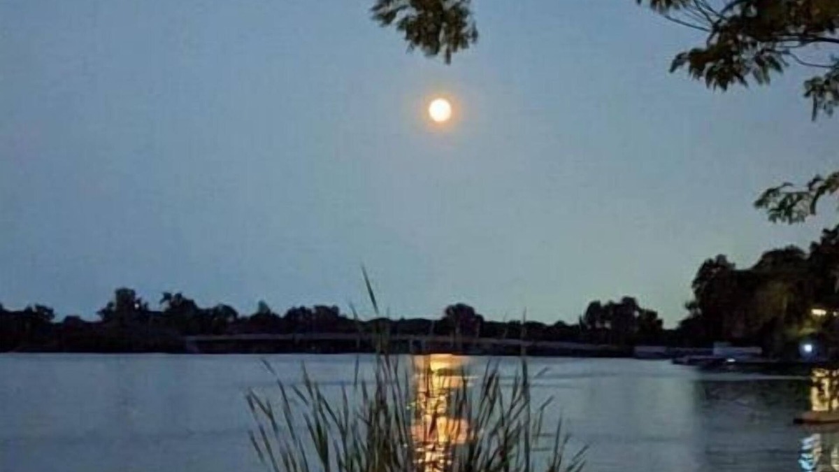 Solon Mills House | Lakefront Comfy 1BR Cabin @ The Lake-Heim by Chain-O-Lakes