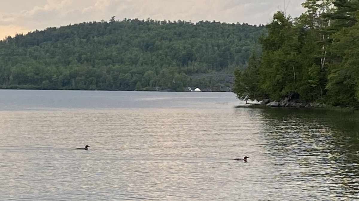 Monson Cottage | Lakefront cottage with privacy and charm!