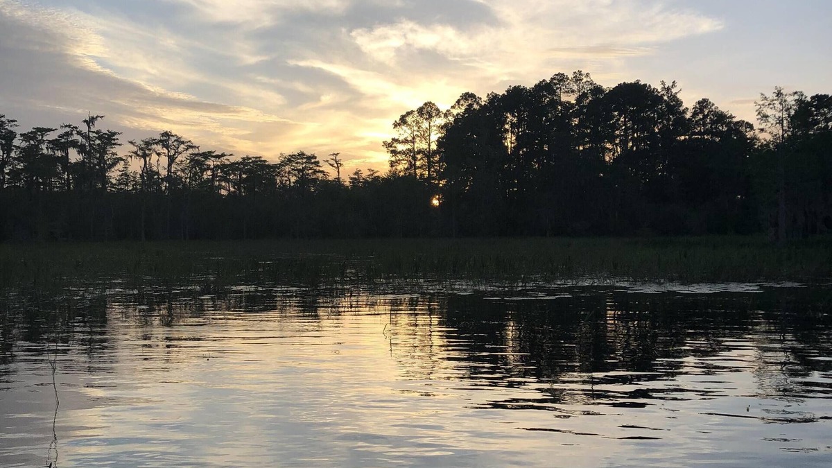 Chipley House | Lakefront Home, beautiful setting, only 30 minutes drive from the Beaches of 30A