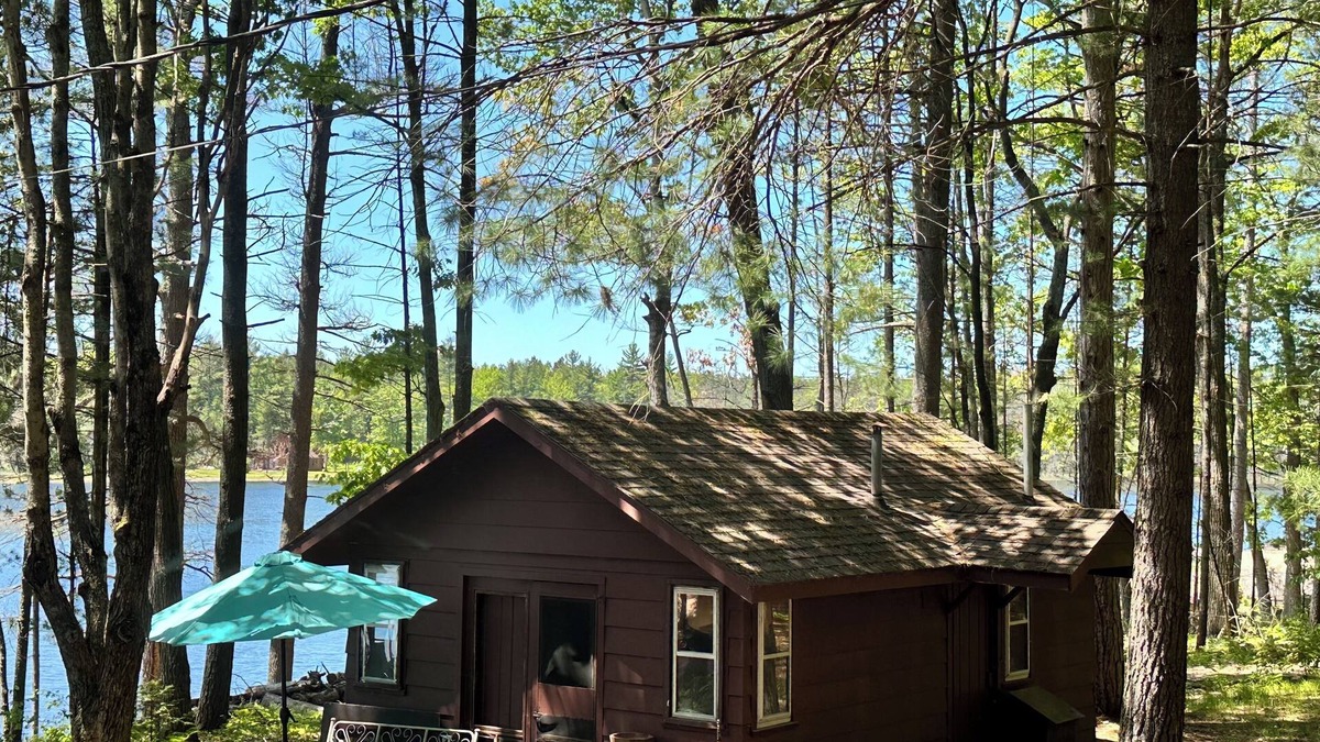 Gaylord Cabin | LAKEFRONT MINI CABIN private acre of Woods 🏞️