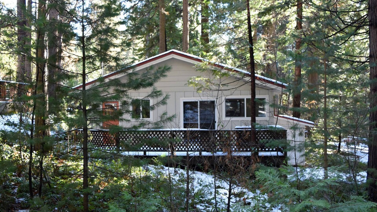 Glencoe House | LAKEMONT PINES INVITING CABIN - DOG FRIENDLY -