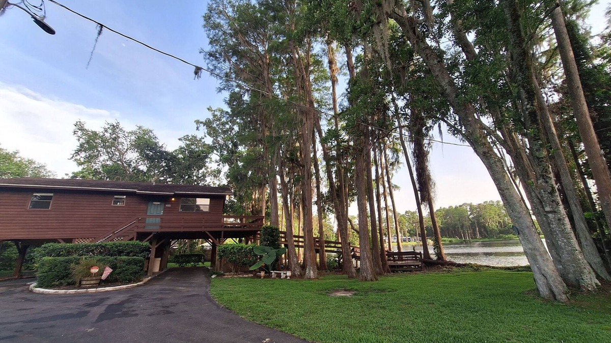 Odessa Cabin | Lakeside Cabin Getaway awaits you!