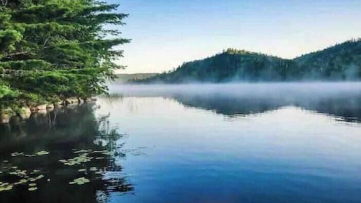 Porters Lake Apartment | Lakeside Guest House - Porters Lake