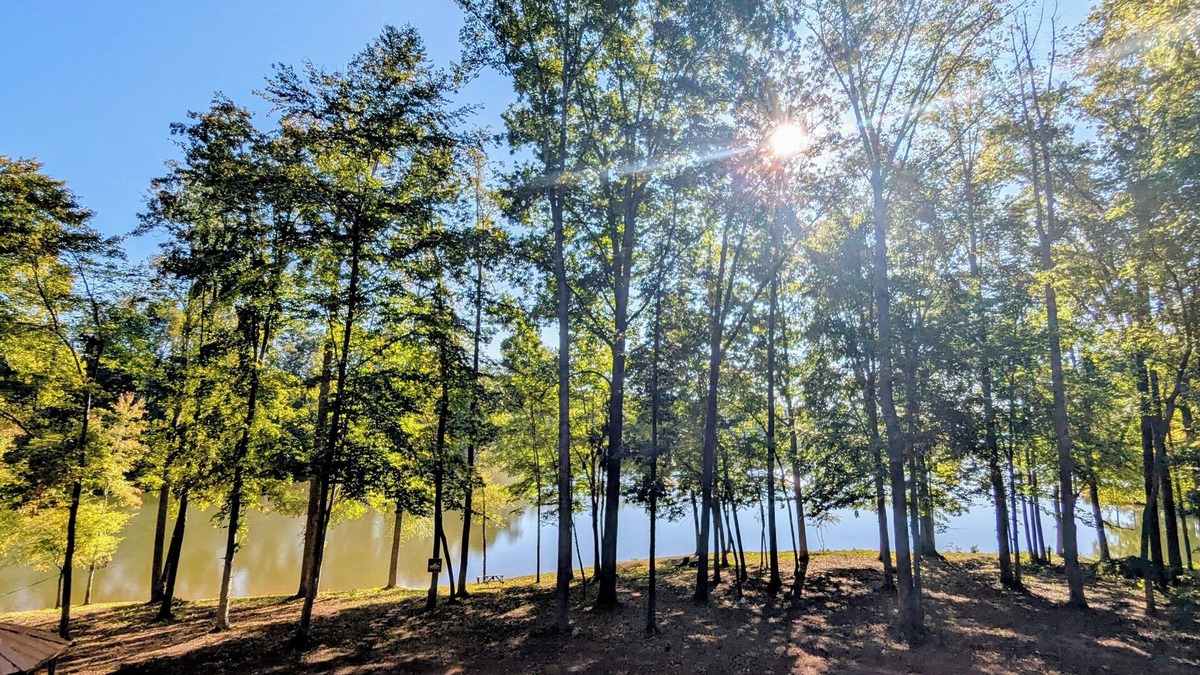 Reidsville Apartment | Lakeside Serenity directly on Lake Reidsville