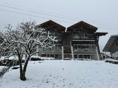 Niederried bei Interlaken Apartment | LakeSide Villa - 18
