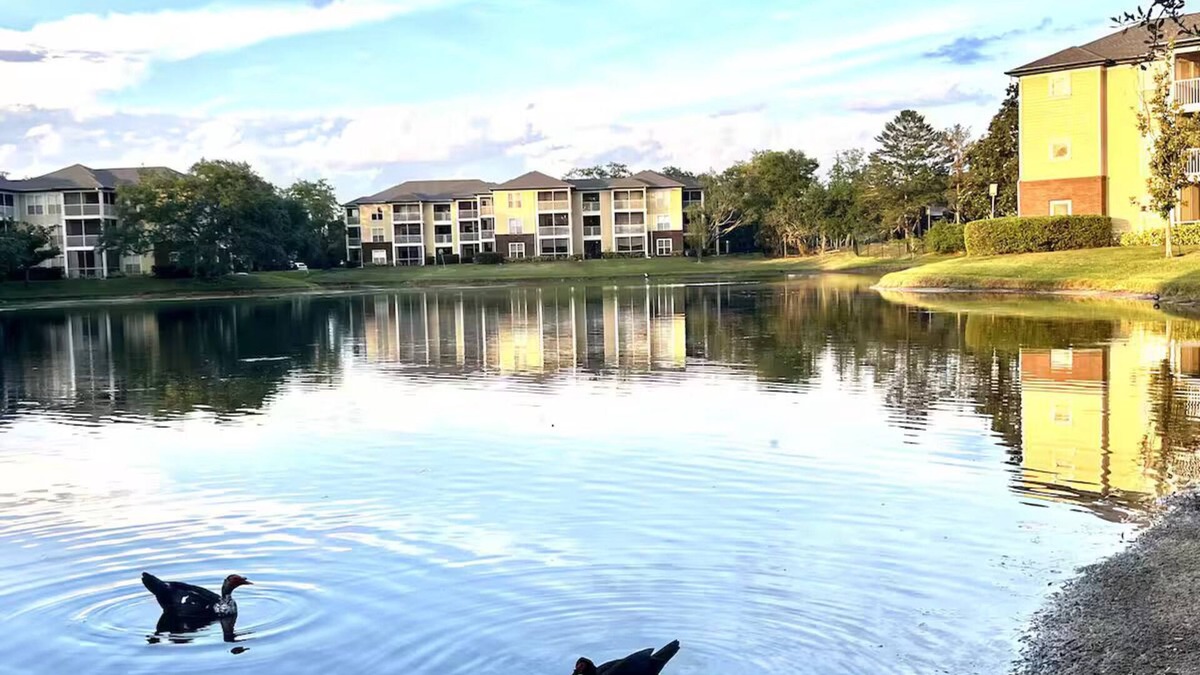 Carrollwood Condo | Lakeview Apt Close to Beaches, Airport, Downtown!