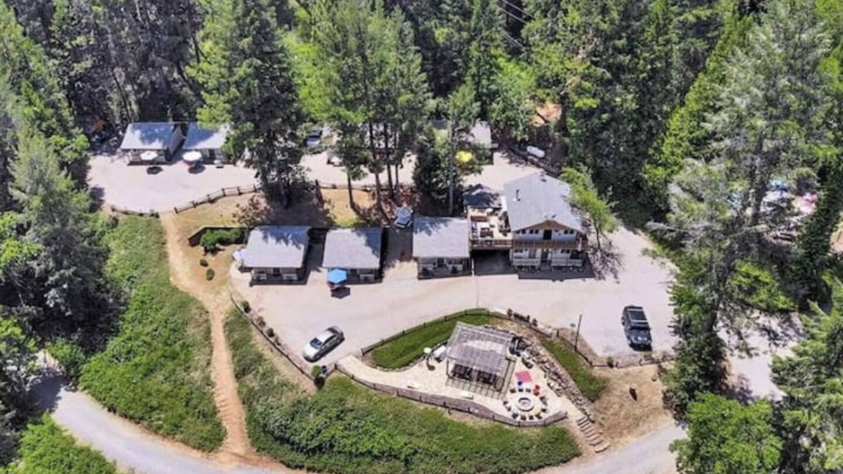 Cedar Ridge Cabin | Lakeview Country Cabin ~ Cloud 9 - AMAZING treehouse VIEWS