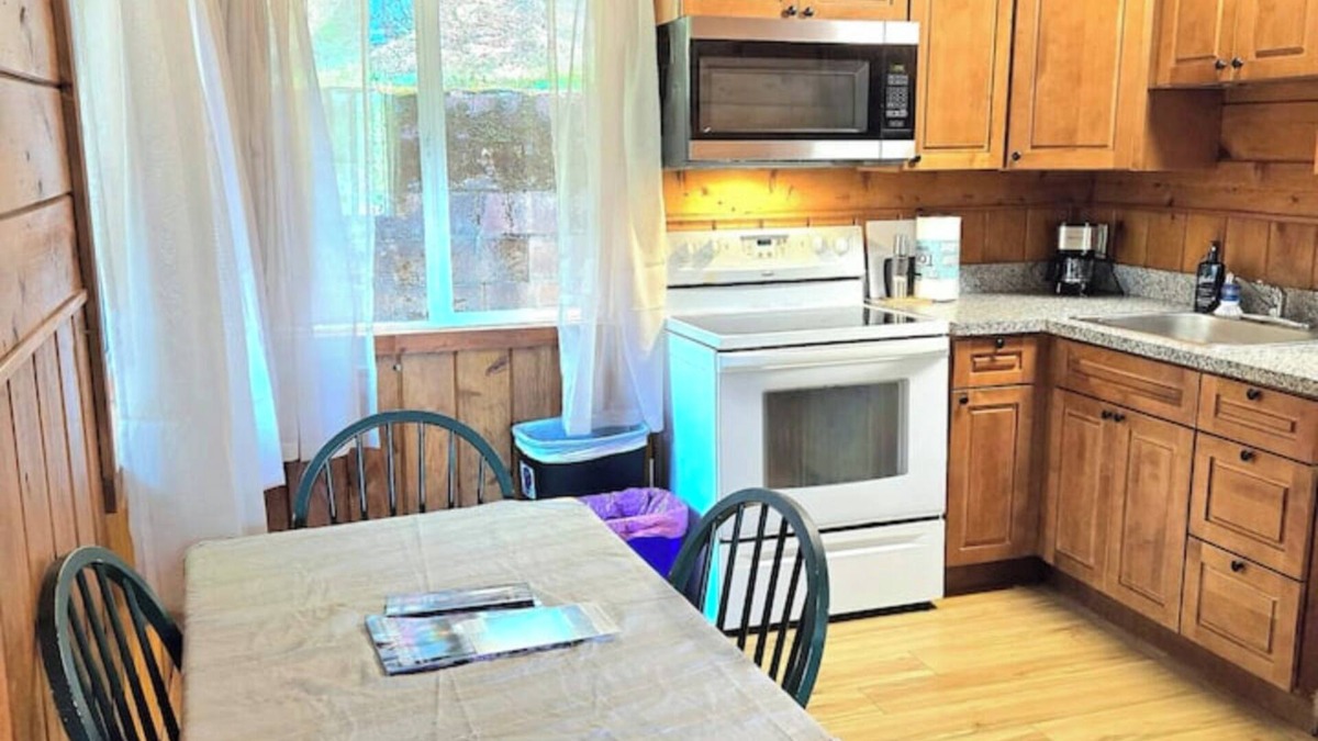 Chicago Park Cabin | Lakeview Country Cabin ~ Studio King Bed w/Futon