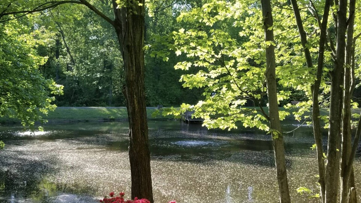 Burke Apartment | Lakeview - Tranquille and private suite Located 20 minutes from D.C