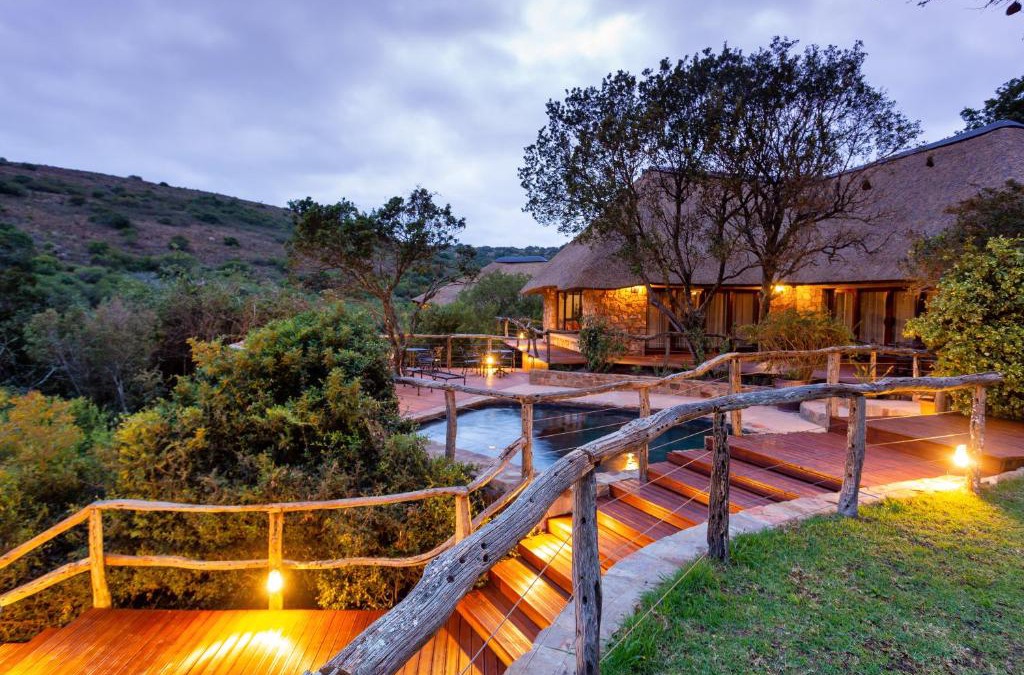 Grahamstown Cabin | Lalibela Game Reserve Mark's Camp