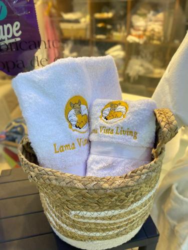 Cusco Historic Center Apartment | Lama Vista Living 202