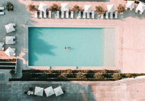Lamego Hotel | Lamego Hotel & Life