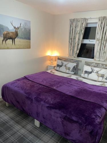 Lamlash House | Lamlash (holiday) Lets