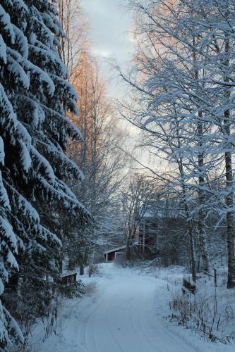 Saarijarvi Ski Chalet | Lamminkangas Cottage