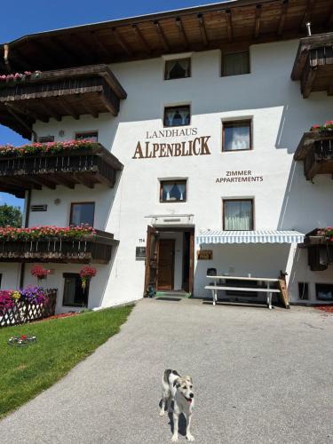 Obsteig Apartment | Landhaus Alpenblick