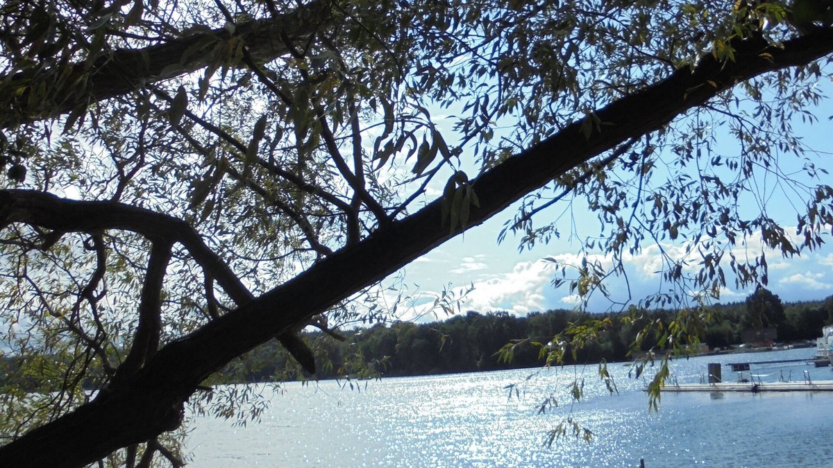 Muritz House | Landhaus Fischersruh on Lake Plau cozy. Apartment Private beach Rowing boat Fishing U
