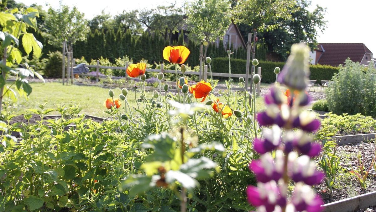 Brietlingen Hotel | Landhotel Franck