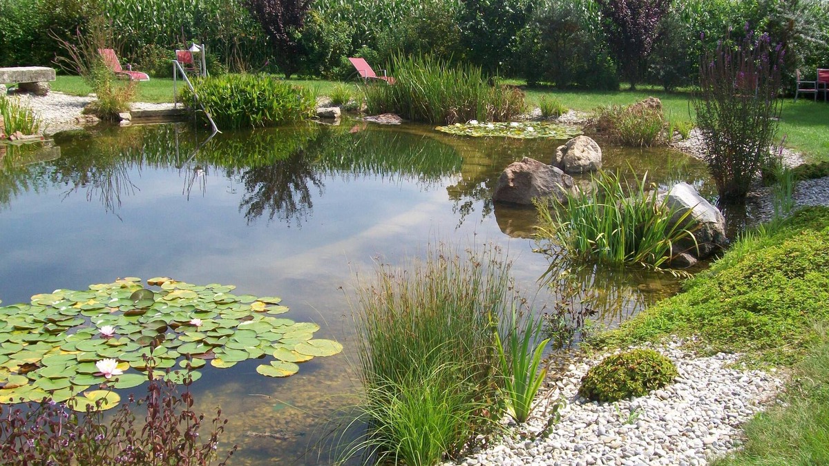 Kirchham Hotel | Landhotel Larenzen