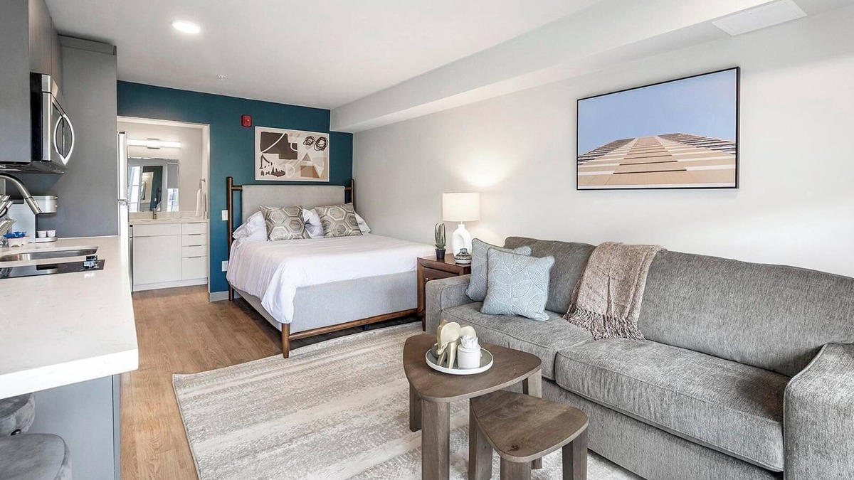 Hermitage Apartment | Landing | Amazing Studio in Downtown Hermitage