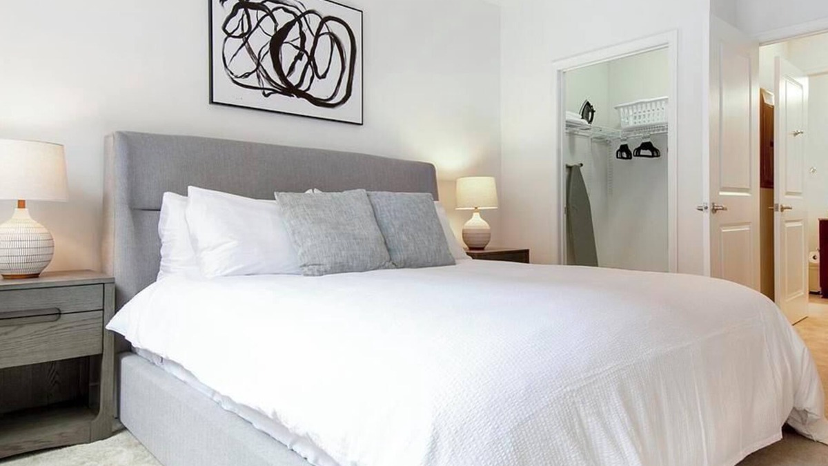 Ashburn Apartment | Landing at BLVD Commons - 1 Bedroom in Downtown Ashburn