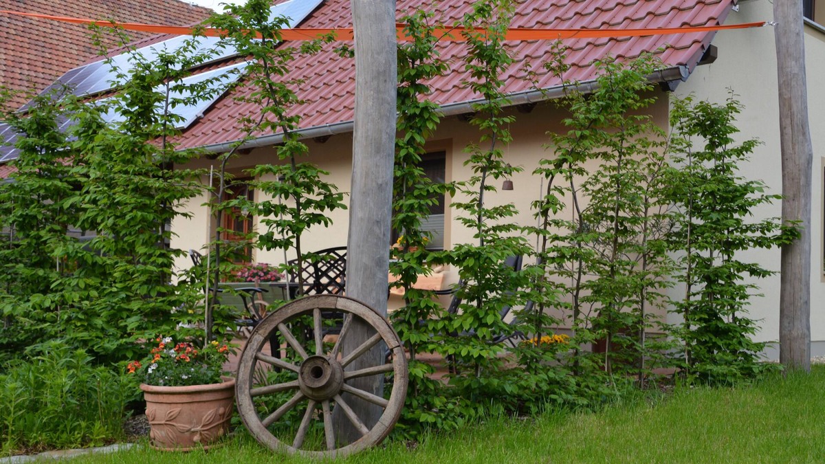 Niedergurig House | "LANDROMANTIK" amidst the heath and pond landscape at the gates of Bautzen