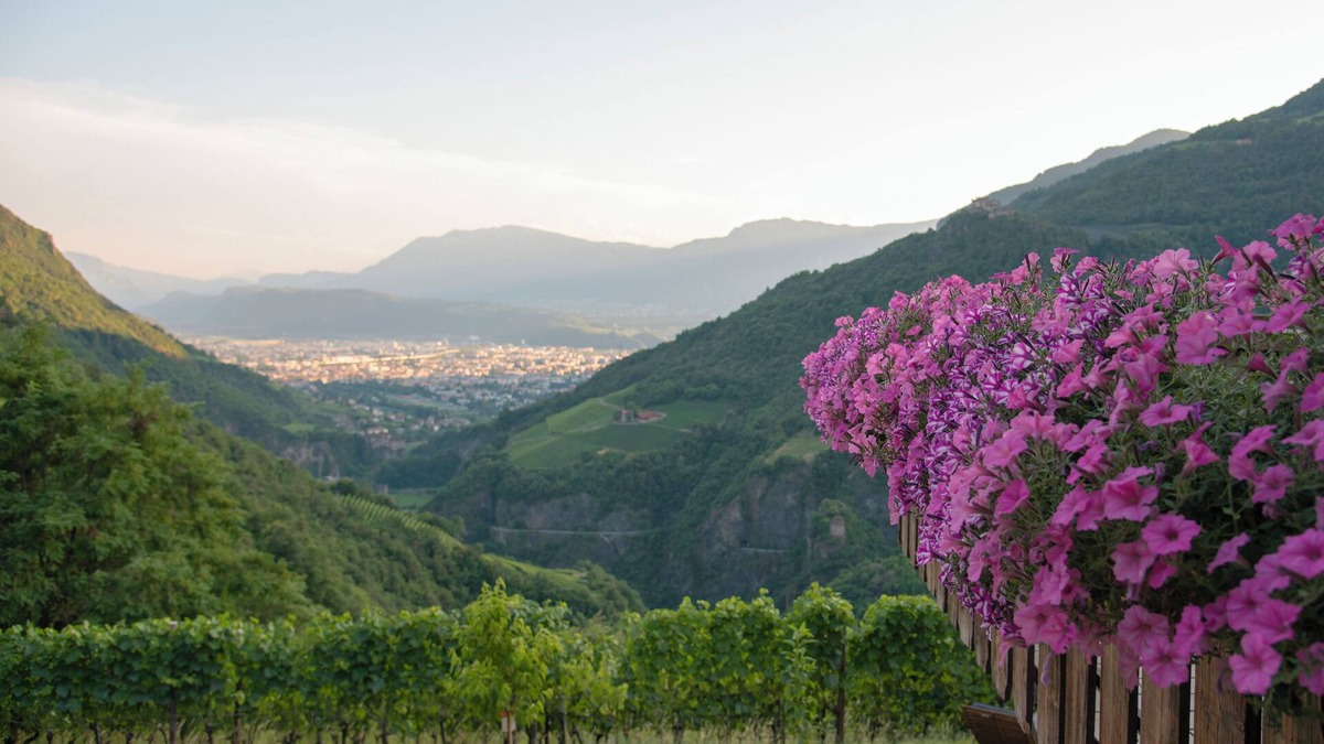 Soprabolzano Apartment | Langegger 1956, Quiet, cozy vacation apartment, 10 minutes by car from Bolzano