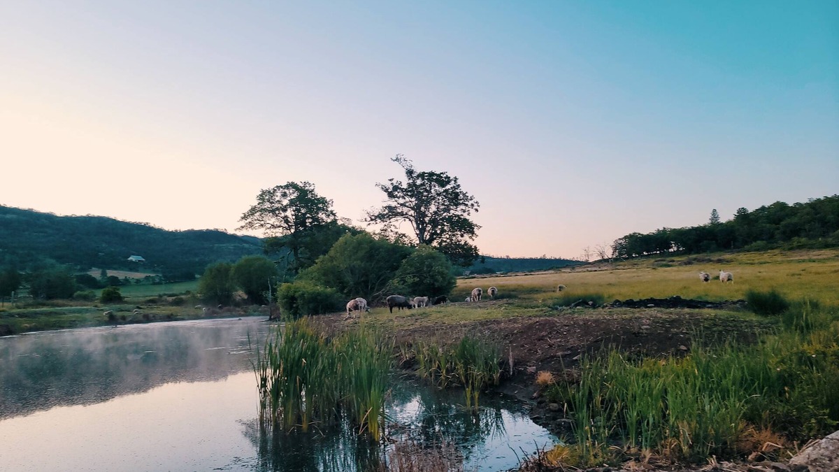 Eagle Point House | Langel Creek Ranch Guest House