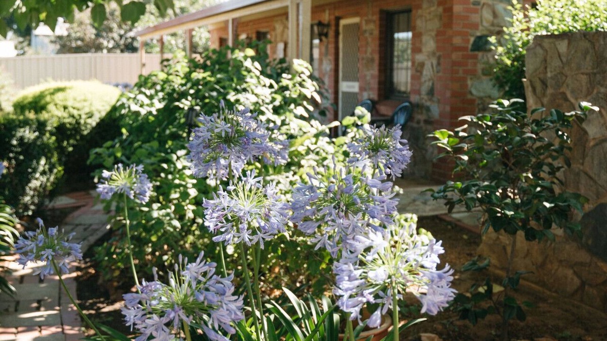 Tanunda Apartment | Langmeil Cottages - Wattle
