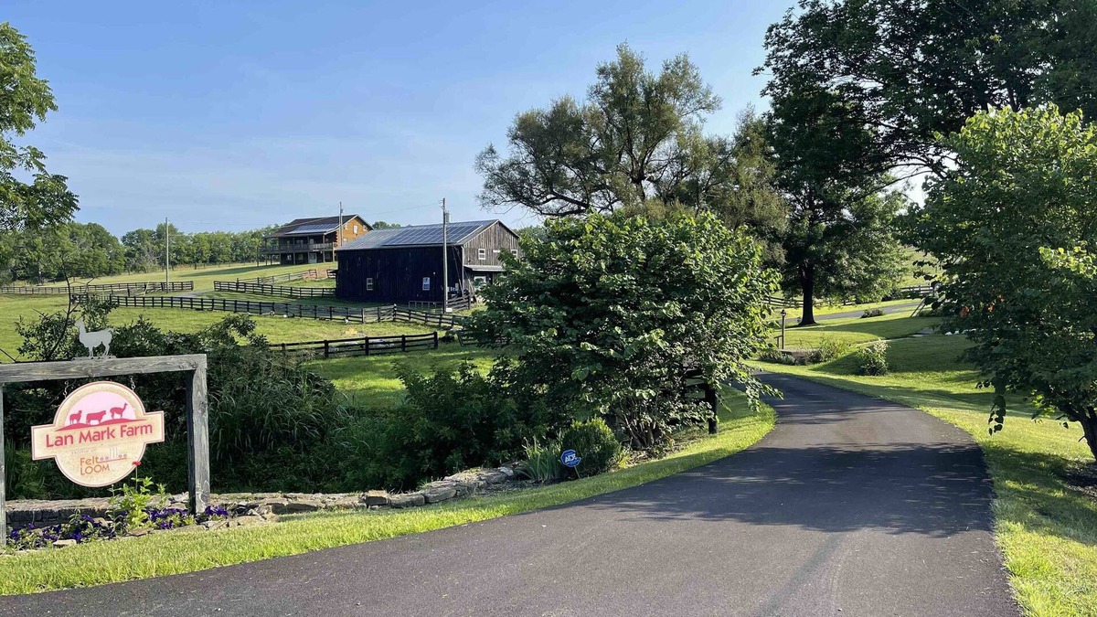 Moorefield Cabin | LanMark Farm Spacious Country Get-Away Ground Floor Suite