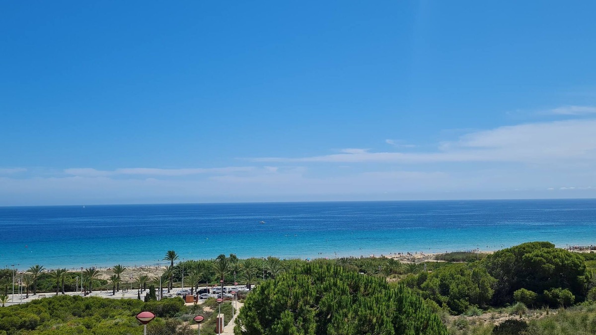 Els Arenals del Sol House | Large 160 m² terrace, pool, free Wi-Fi, and close to both the beach and Alicante