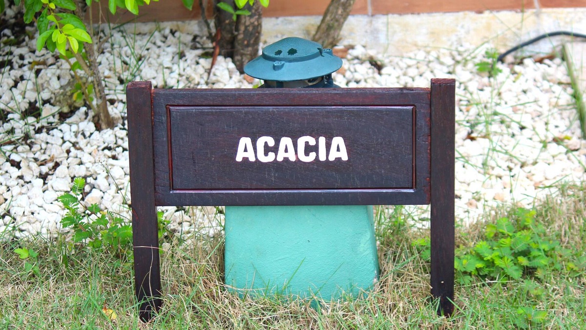 Bavaro Villa | Large 3-bedroom Villa in Cocotal Golf & Country Club Punta Cana, 5 min to beach