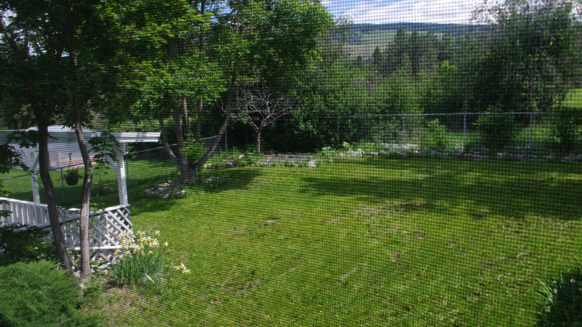 Central Okanagan House | Large 4+ bdrm Home, Pet Friendly Games room kid friendly, 2 Kitchens.