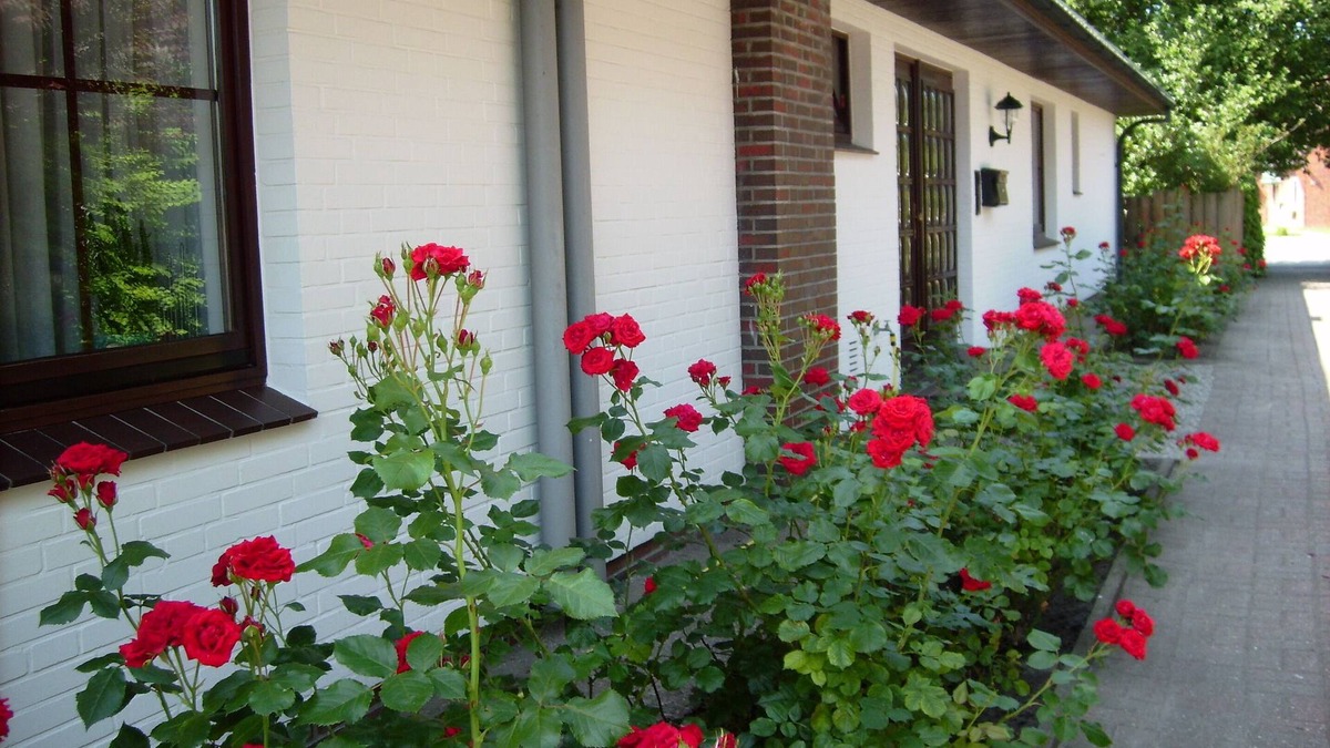 Stinteck Apartment | Large apartment in nearby dike for 4 people with swimming pool in the house.