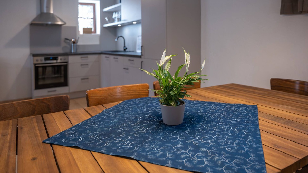 Lutzmannsburg Apartment | Large apartment with terrace 1200sqm garden in central Burgenland
