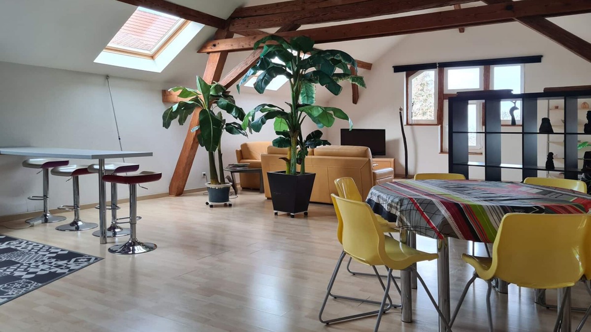 Saint-Nabor Cottage | Large bright loft + bedroom in old barn on the wine route