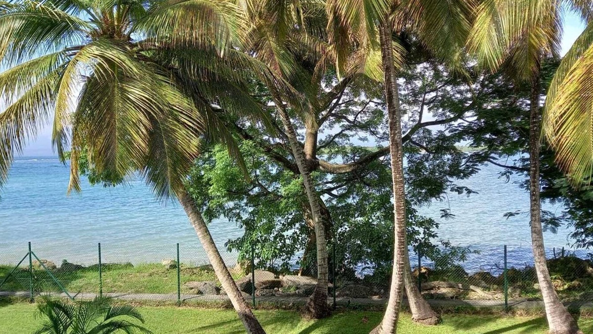 Pointe-a-Pitre Apartment | Large, cosy studio with sea view, pool and beach