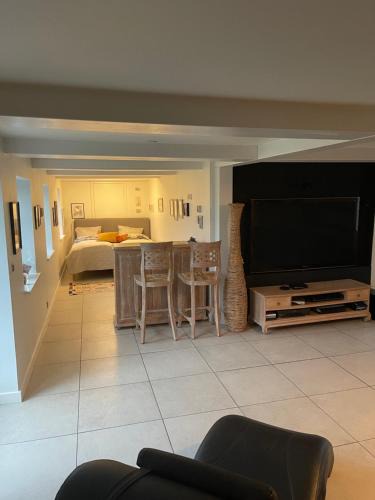 Slagelse Apartment | Large cozy living room with bedroom, bathroom