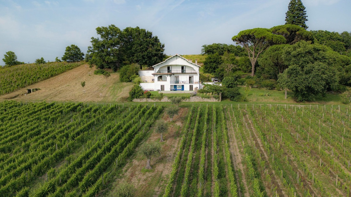 Cadillac Villa | Large designer villa with swimming pool and vineyard - Bordeaux Sud