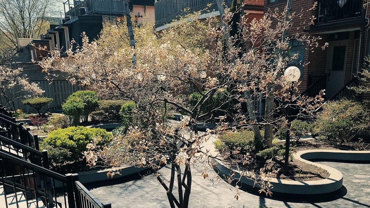 Cabbagetown South Apartment | Large downtown Toronto townhouse. Perfect for large groups and families!