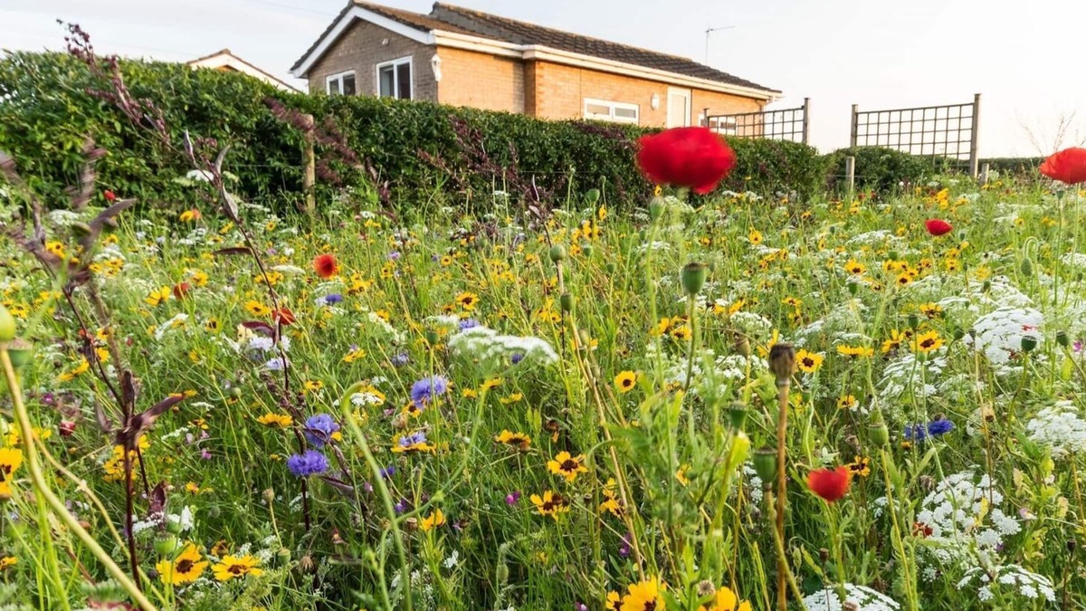 Helsey House | Large garden, dogs welcome,10 Minutes to Beach, EV charger, solar power, wifi.