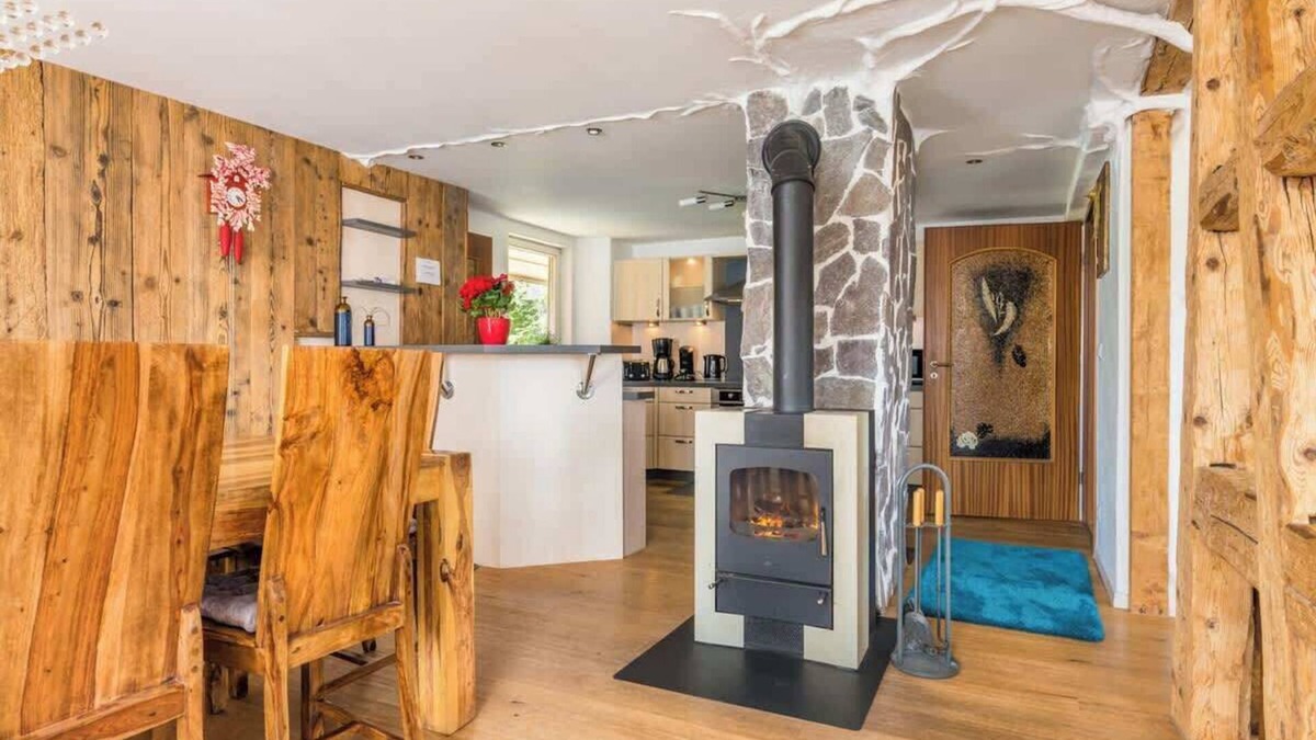 Schonach im Schwarzwald Apartment | Large historic apartment with sauna, fitness room, fireplace, fire pit and garden