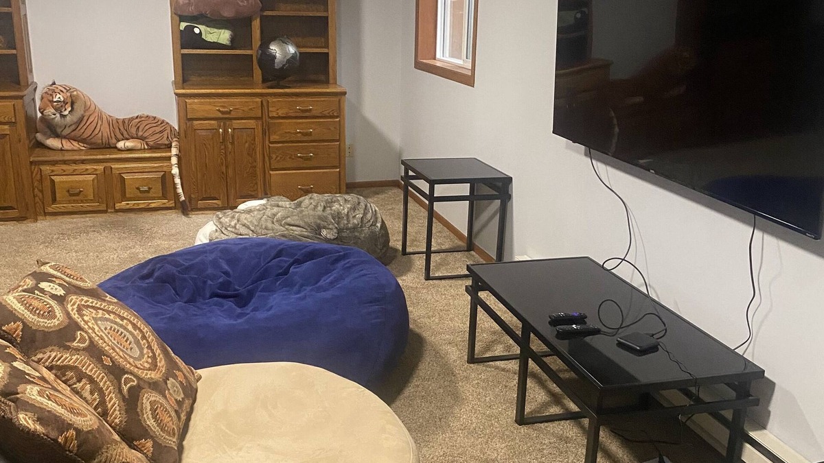 Otsego House | Large pet friendly, kid friendly house! 35 minutes from US Bank Stadium etc.