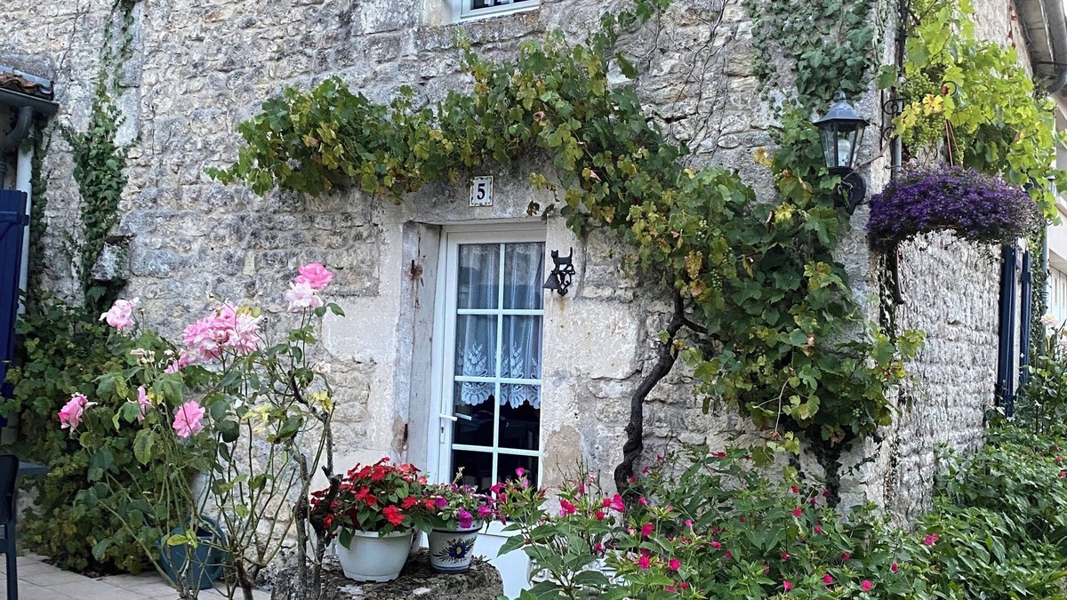 Ardillieres House | Large, quiet gîte with swimming pool