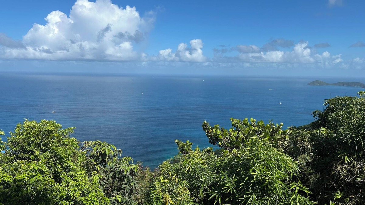 Road Town Apartment | Large Studio with Spectacular Views of the Atlantic