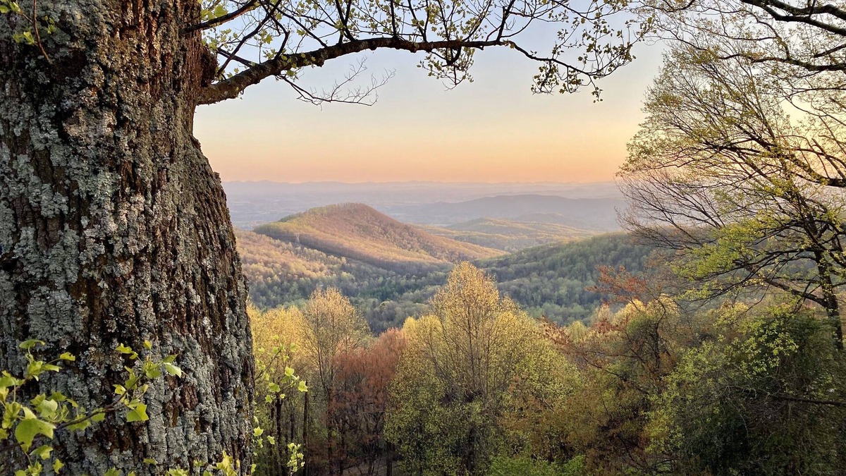 Roaring Gap Ski Chalet | Large Vacation Rental Chalet Mountain Views 6 BR