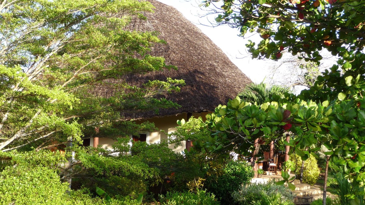 Ukunda House | Large villa for up to 10 people, 5000 m² large tropical garden + private pool