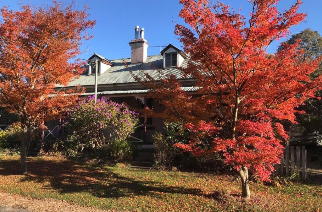 Mount Victoria House | Larsens Cottage 1 - Historic 1880 Home
