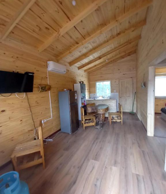 Linares House | Las araucarias