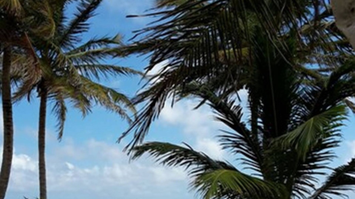 Mahahual Hotel | Las Cabañas Del Doctor