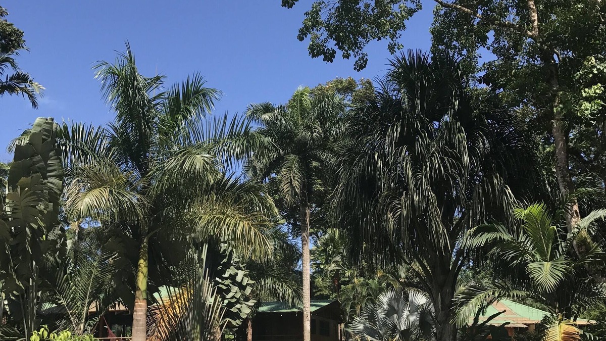 Cocles Villa | Las Casas Costa Rica a private lodge in the Caribbean jungle